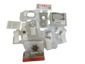 Reparo da bomba d'agua Yamaha 40hp xmhs