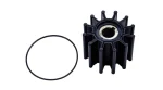 Rotor da bomba d'agua QSD 4.2 chavetado Bomba Sherwood