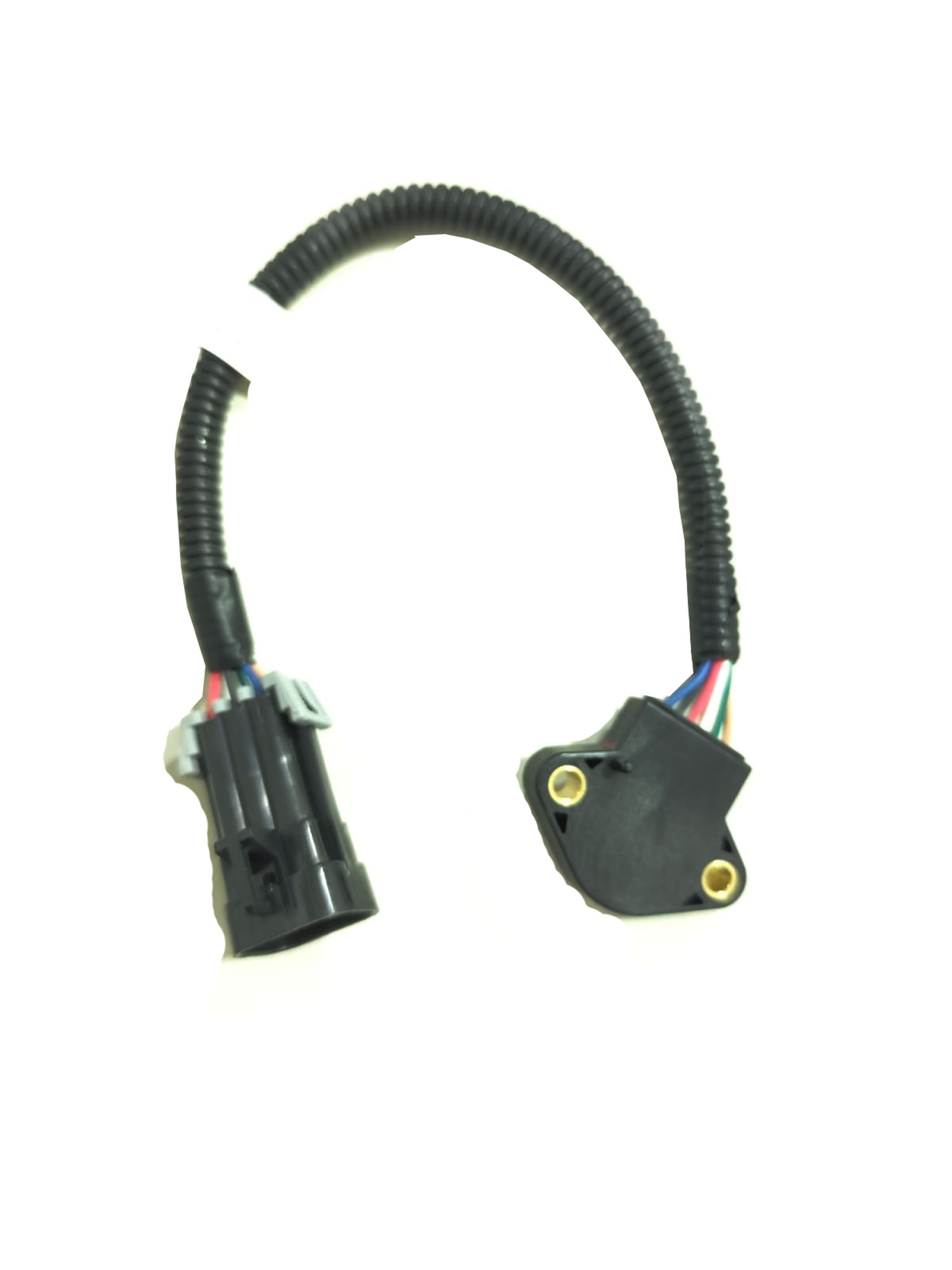8m0172829