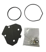 Reparo do carburador motor popa 250hp AETOX e 225 CETOX