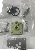 Reparo da bomba d'agua motor Yamaha 4T F20 BMHS 