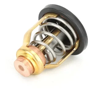 Válvula termostática motor popa Yamaha F115 AET  
