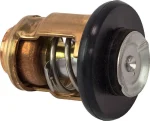 Válvula termostática motor popa Yamaha 15hp até 250hp 2 tempos