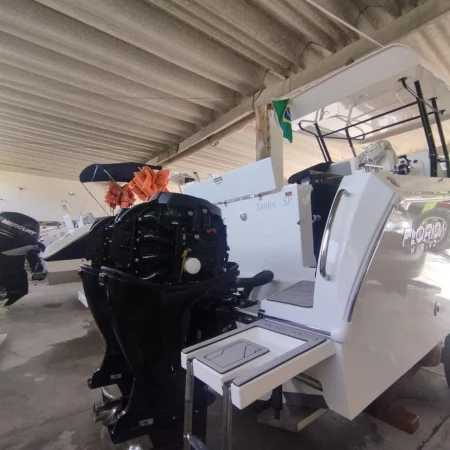 Parelha motor popa Mercury 150hp 4T 420 horas 2014/2015