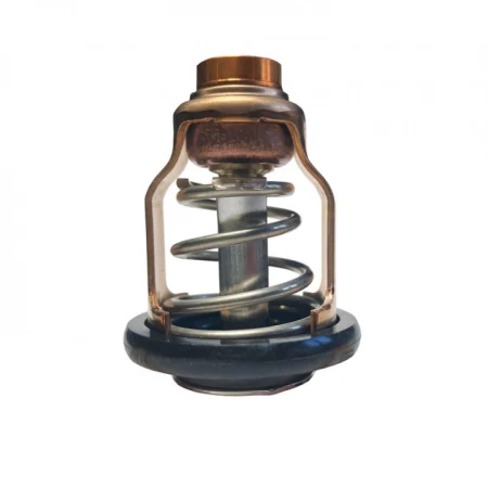 Válvula termostática motor popa Yamaha F115 AET  
