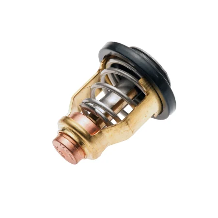 Válvula termostática Yamaha F115BET 4T VF115LA VF115LB